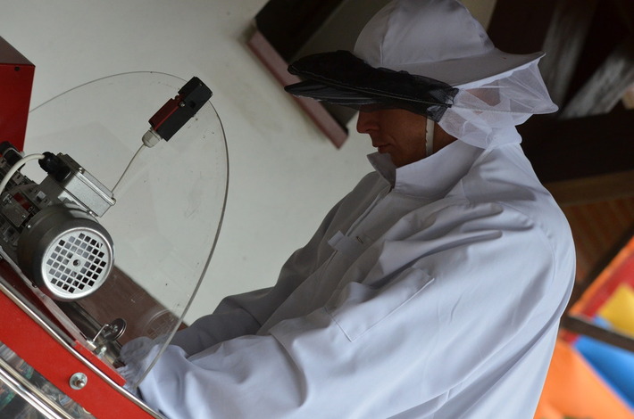 O miodzie prawie wszystko GALERIA ZDJĘĆ