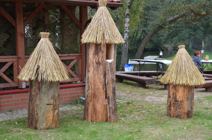 O miodzie prawie wszystko GALERIA ZDJĘĆ