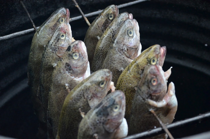 O miodzie prawie wszystko GALERIA ZDJĘĆ