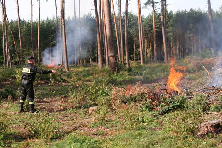 Strażacy podłożyli ogień... GALERIA ZDJĘĆ