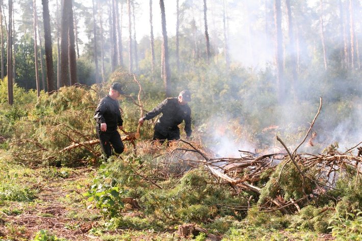 Strażacy podłożyli ogień... GALERIA ZDJĘĆ