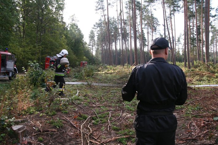 Strażacy podłożyli ogień... GALERIA ZDJĘĆ