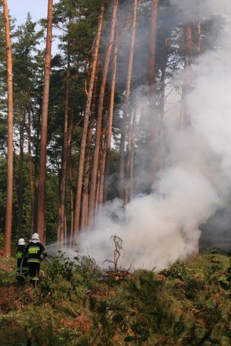 Strażacy podłożyli ogień... GALERIA ZDJĘĆ