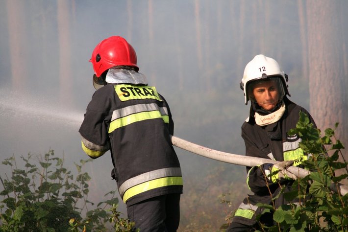 Strażacy podłożyli ogień... GALERIA ZDJĘĆ