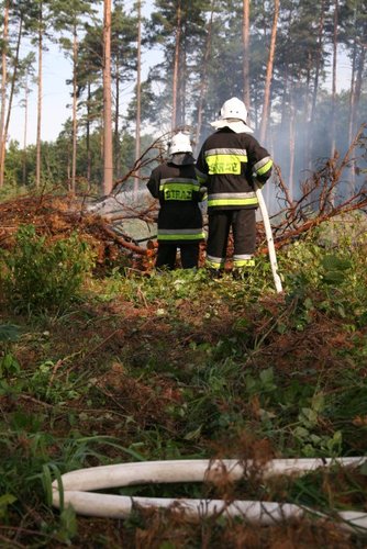 Strażacy podłożyli ogień... GALERIA ZDJĘĆ