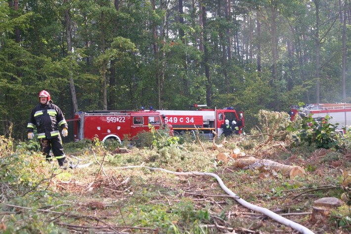 Strażacy podłożyli ogień... GALERIA ZDJĘĆ