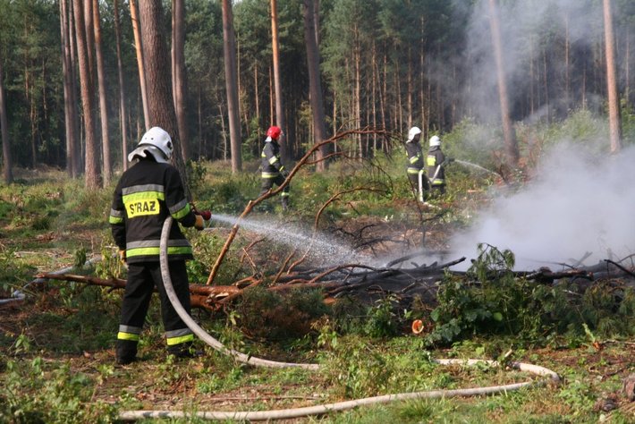 Strażacy podłożyli ogień... GALERIA ZDJĘĆ