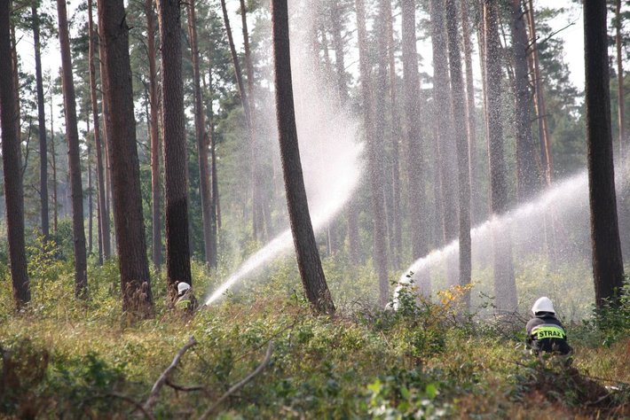 Strażacy podłożyli ogień... GALERIA ZDJĘĆ