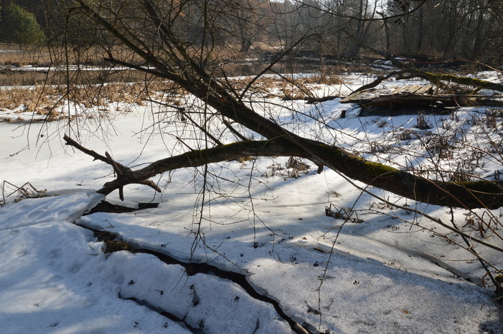 To zagrożenie ekologiczne