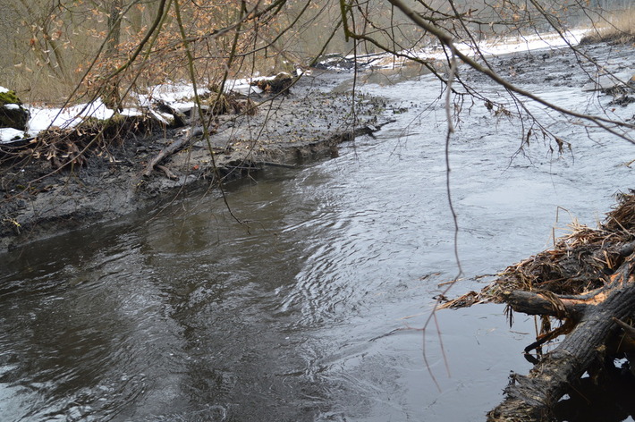 To zagrożenie ekologiczne
