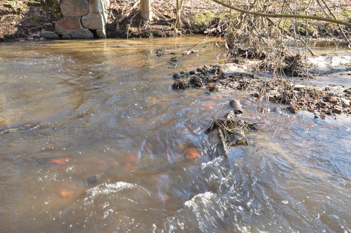 To zagrożenie ekologiczne