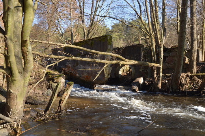 To zagrożenie ekologiczne