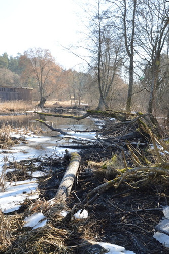 To zagrożenie ekologiczne