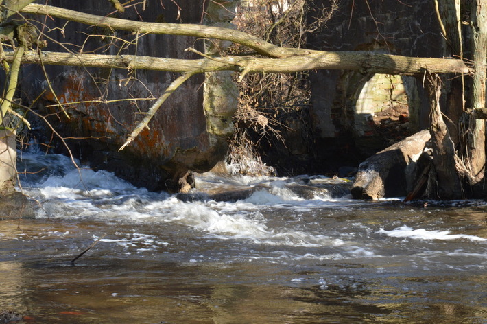 To zagrożenie ekologiczne