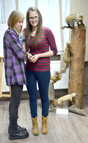 ?Drugie życie? mieszkańców lasu ZDJĘCIA