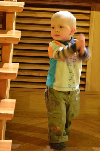 Wydali dwupłytowy album i zagrali koncert ZDJĘCIA/FILM