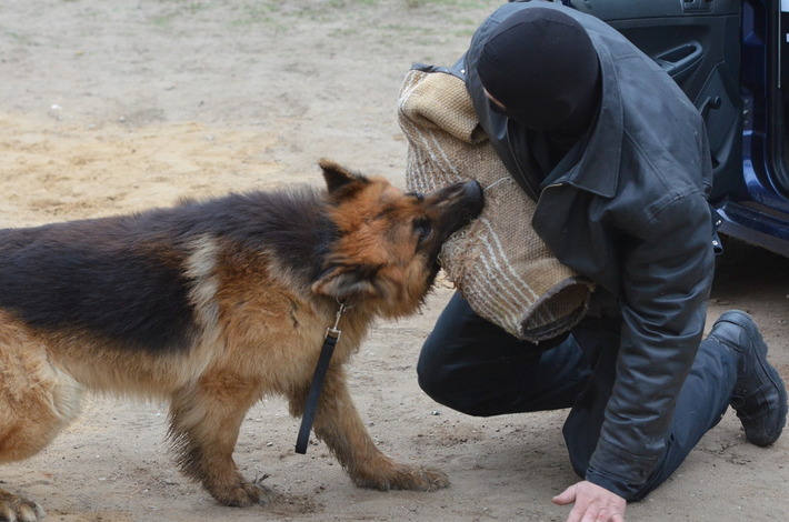 Motocykliści nie zawiedli