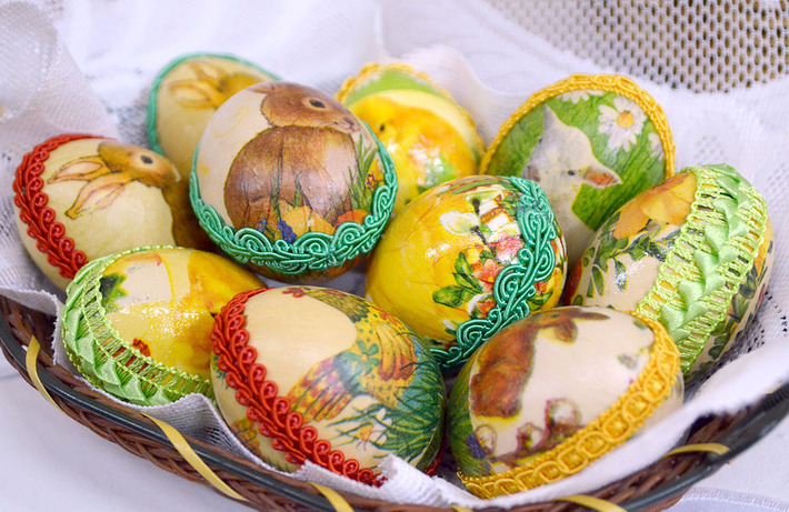 Rodzinna pasja na jednej wystawie ZDJĘCIA