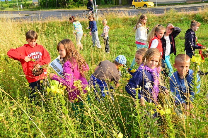 Tańce i poszukiwania - ZDJĘCIA