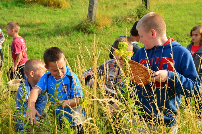 Tańce i poszukiwania - ZDJĘCIA
