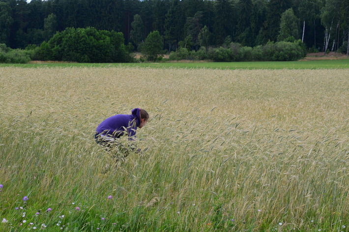 Piknik z przesłaniem - ZDJĘCIA