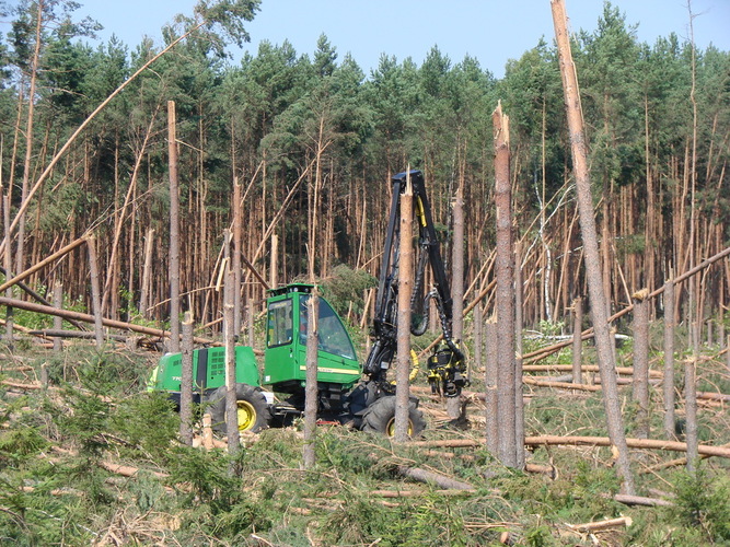 Rok po trąbie - ZDJĘCIA