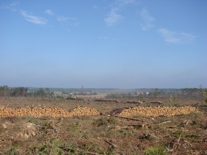Rok po trąbie - ZDJĘCIA