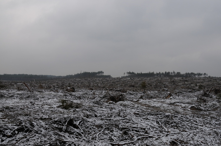 Rok po trąbie - ZDJĘCIA
