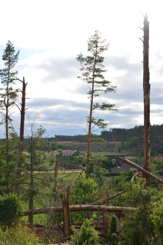 Rok po trąbie - ZDJĘCIA