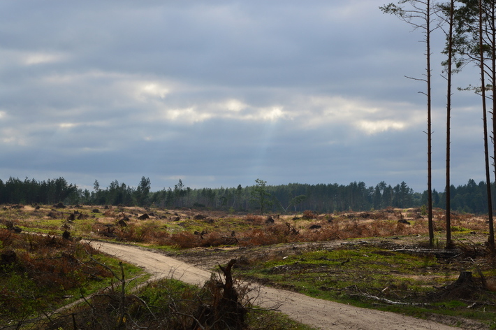 Rok po trąbie - ZDJĘCIA