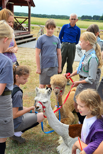 Alpaki leczą dzieciaki