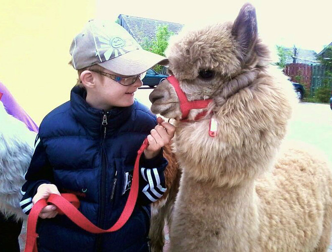 Alpaki leczą dzieciaki