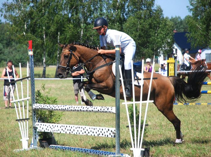 Wymysłowo Cup 2013 ZDJĘCIA FILMY