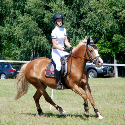 Wymysłowo Cup 2013 ZDJĘCIA FILMY