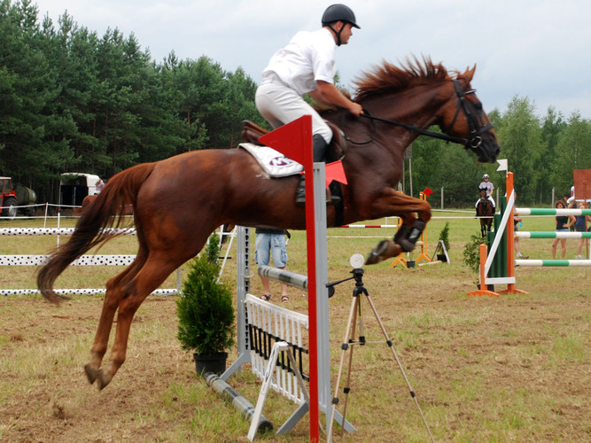 Wymysłowo Cup 2013 ZDJĘCIA FILMY