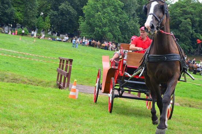 Dziki zachód w Śliwicach - ZDJĘCIA