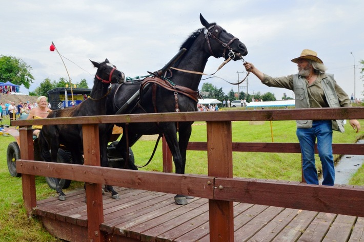 Dziki zachód w Śliwicach - ZDJĘCIA