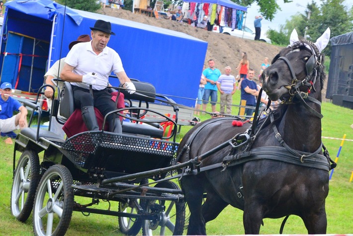 Dziki zachód w Śliwicach - ZDJĘCIA