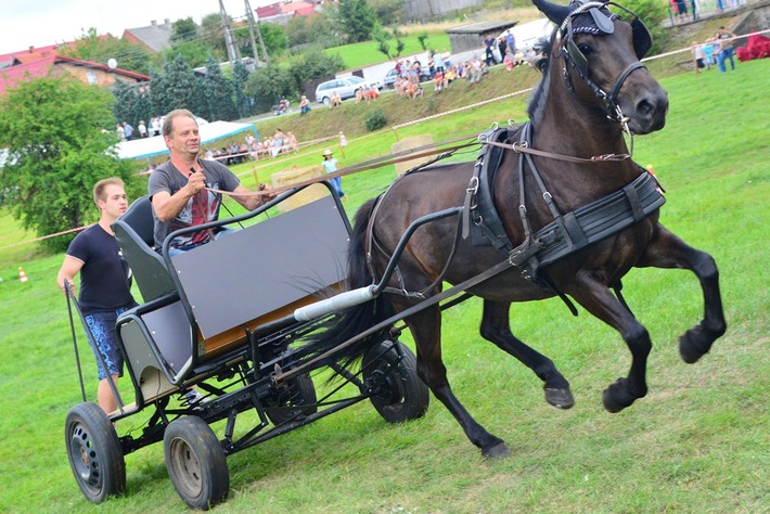 Dziki zachód w Śliwicach - ZDJĘCIA