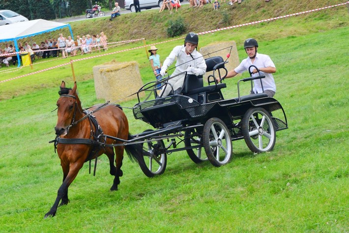 Dziki zachód w Śliwicach - ZDJĘCIA