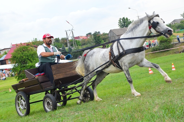 Dziki zachód w Śliwicach - ZDJĘCIA