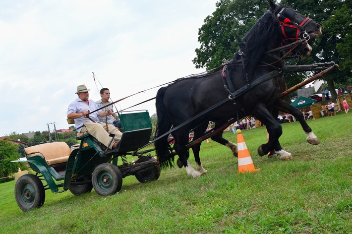Dziki zachód w Śliwicach - ZDJĘCIA