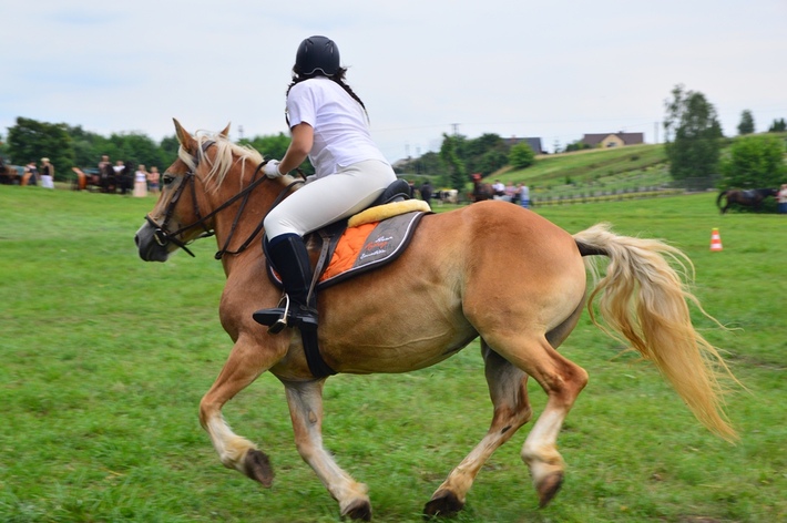 Dziki zachód w Śliwicach - ZDJĘCIA