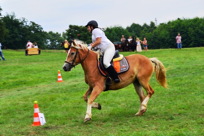 Dziki zachód w Śliwicach - ZDJĘCIA