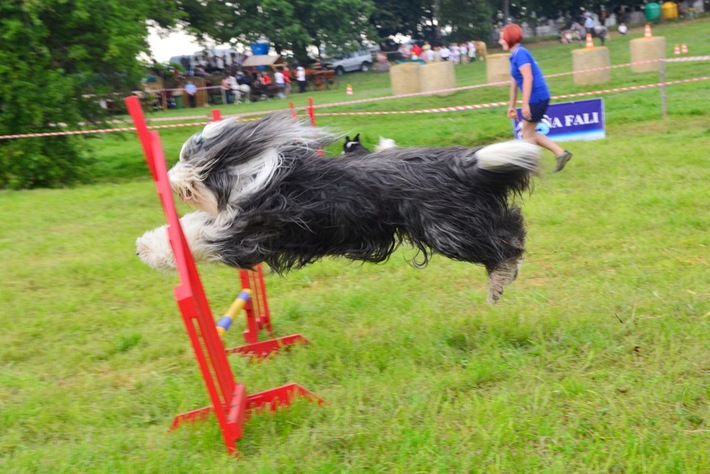 Dziki zachód w Śliwicach - ZDJĘCIA