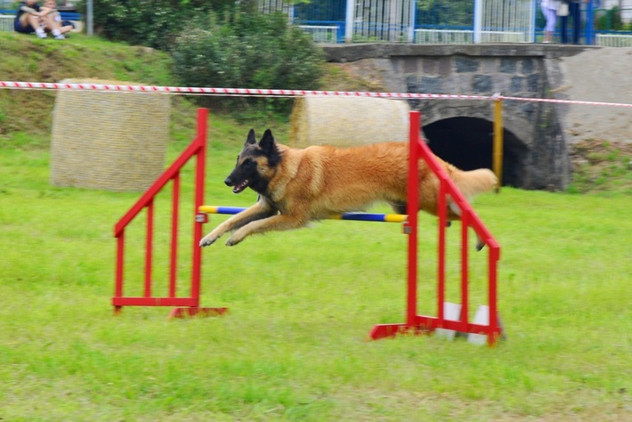 Dziki zachód w Śliwicach - ZDJĘCIA