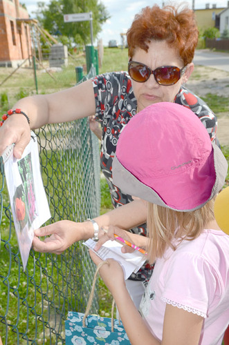 Kolonie w Wiosce Kwiatowej