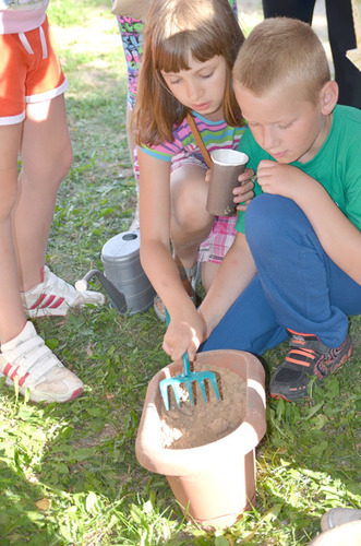 Kolonie w Wiosce Kwiatowej