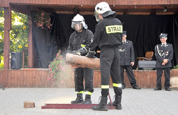 Grzyby znów królowały w Krzywogońcu ZDJĘCIA