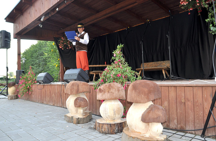 Grzyby znów królowały w Krzywogońcu ZDJĘCIA